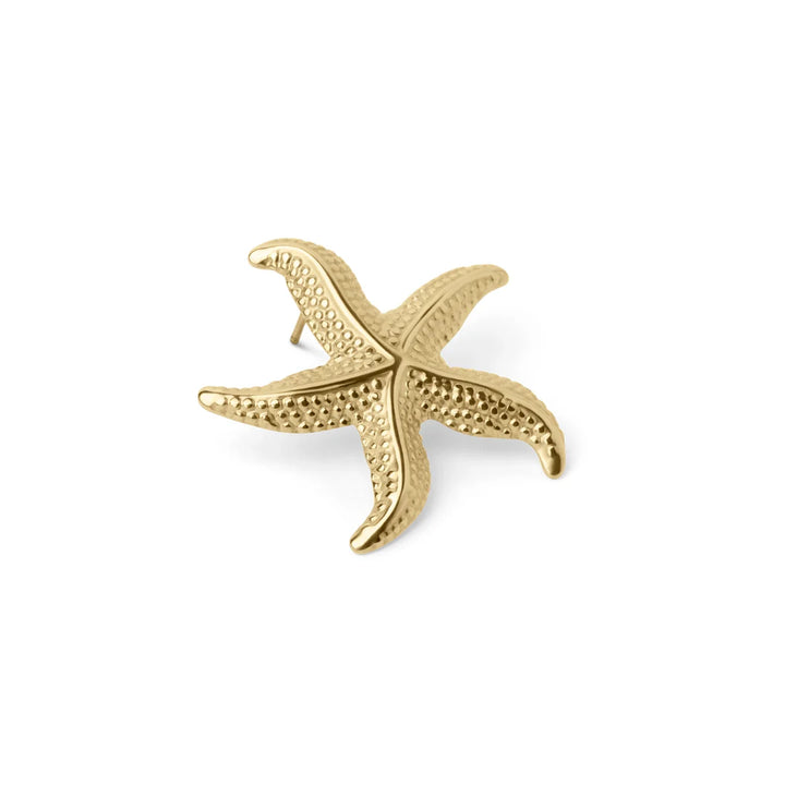 Olive's Ocean Whisper Starfish Earring